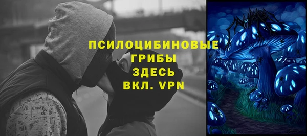 гидра Арсеньев