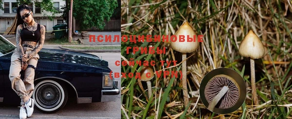 гидра Арсеньев