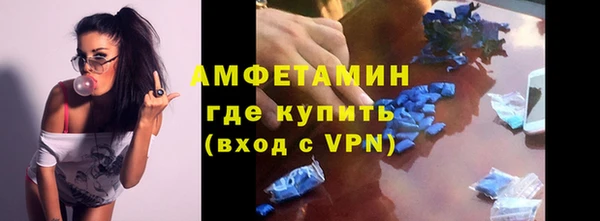 гидра Арсеньев