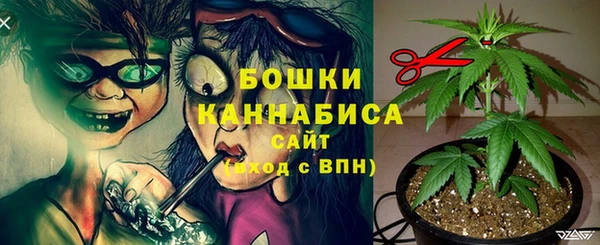 гидра Арсеньев